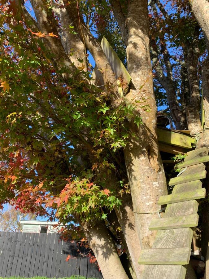 Moore St Cottage Ohakune Exterior foto